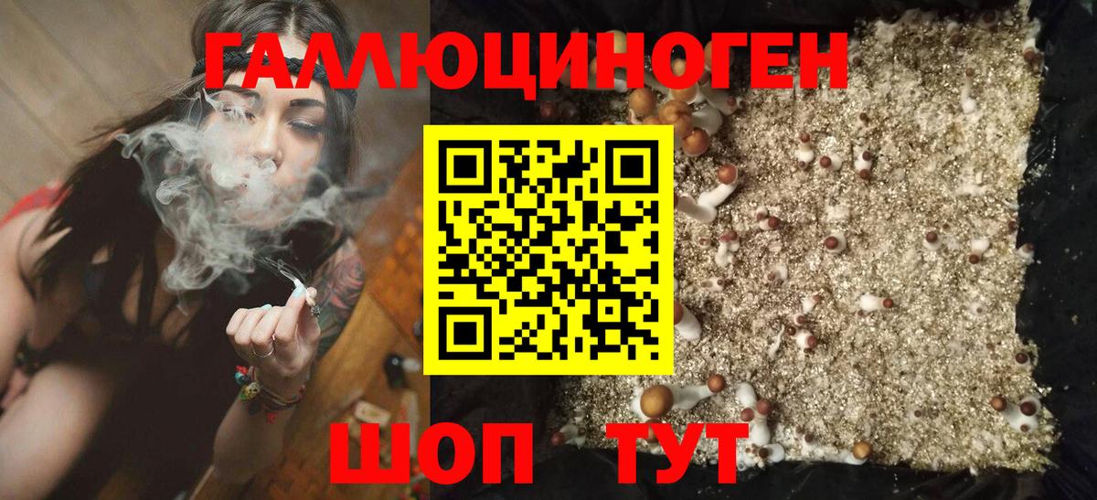 Псилоцибиновые грибы MAGIC MUSHROOMS  Вход с VPN  Сургут 