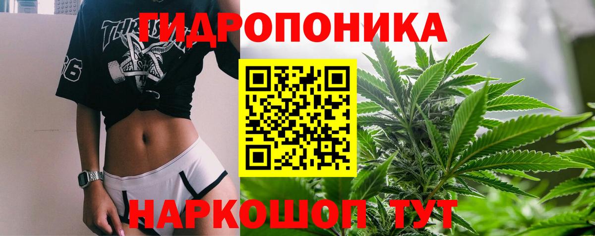 Каннабис семена Сургут